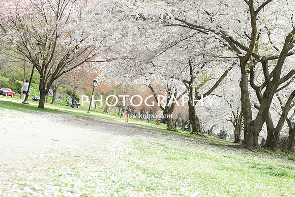 KNL_1642