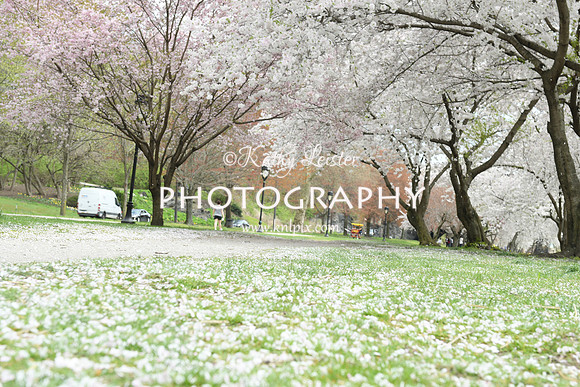 KNL_1643