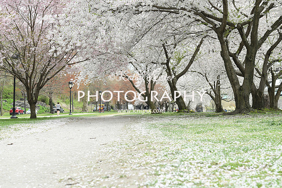 KNL_1644