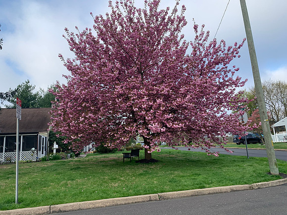 IMG_2458
