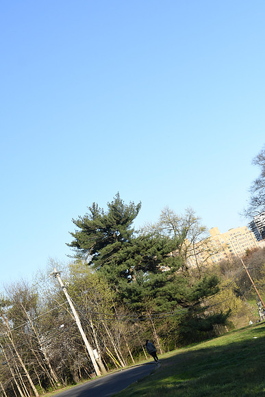 KNL_4681