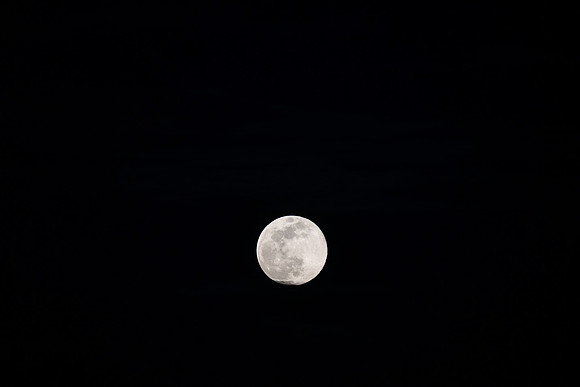 KNL_4755