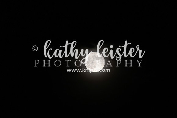 KNL_7333