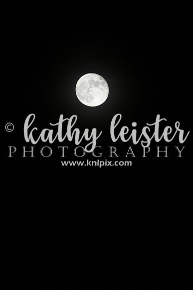 KNL_7336