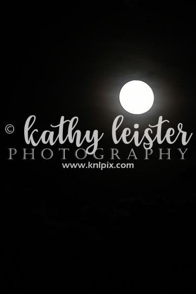 KNL_7337