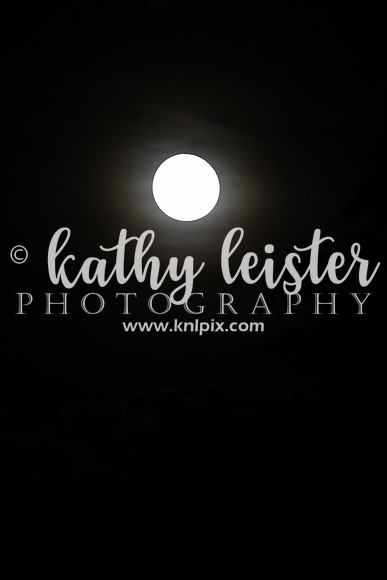 KNL_7338