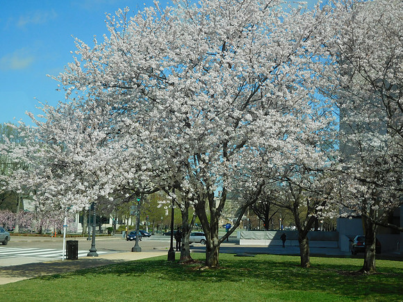 DSCN1300