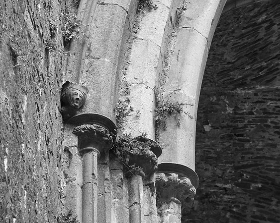 Rock of Cashel 8-4-24 009