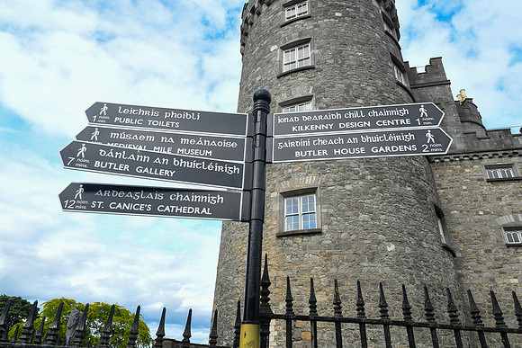 Kilkenny 8-3-24 003