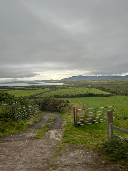 Dingle Peninsula 8-8-24 010