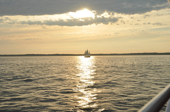DSC_0281