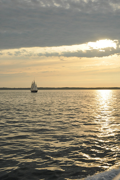 DSC_0285