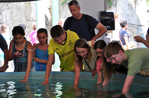 2014 Vacation 090