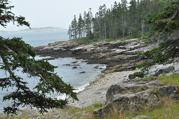 DSC_0073