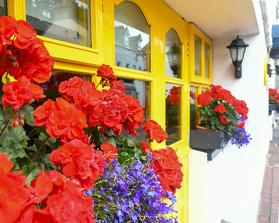 Kilkenny 8-3-24 054