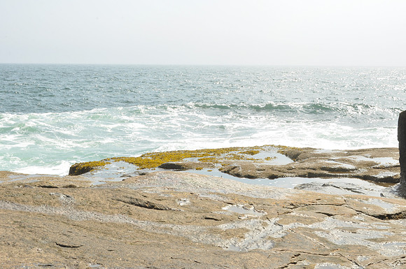 DSC_0052