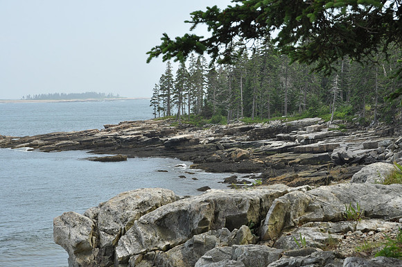 DSC_0075