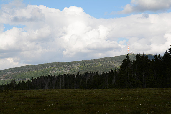 DSC_1417