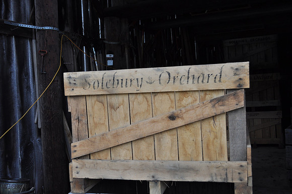 DSC_8776
